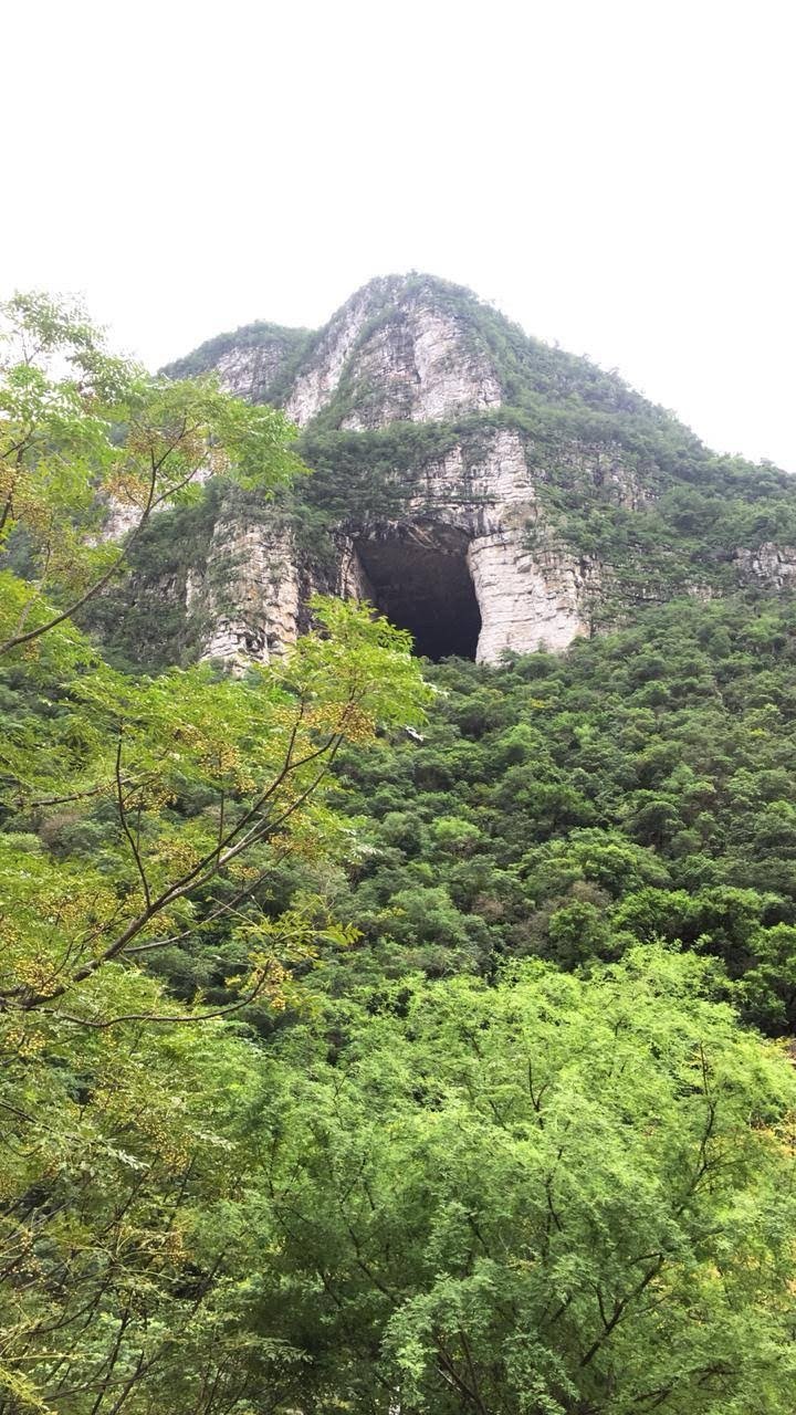 big carve opening u pin the green mountain