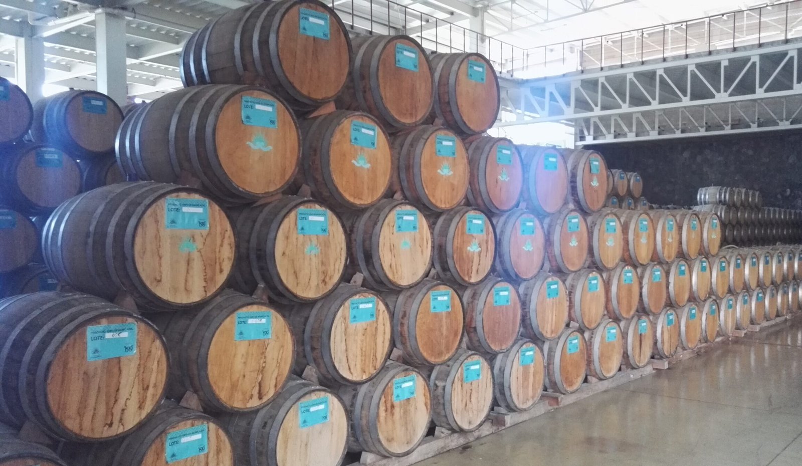 a wall of wooden barrels in warehouse