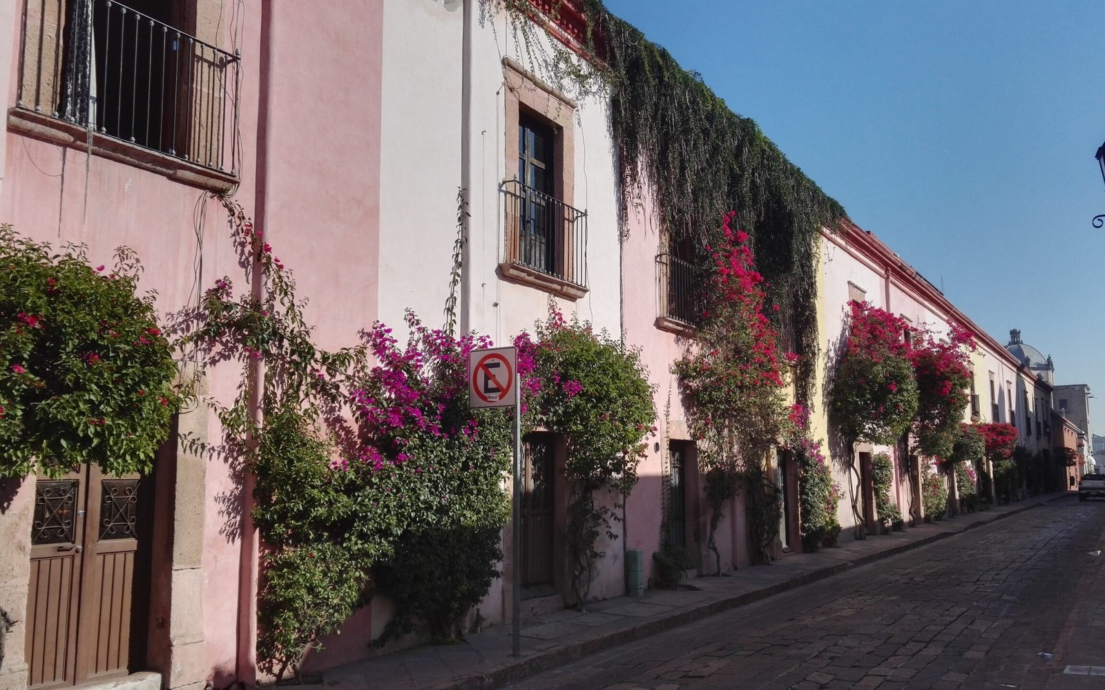 houses on quiet cobblestone street covered in plants with purple flowers