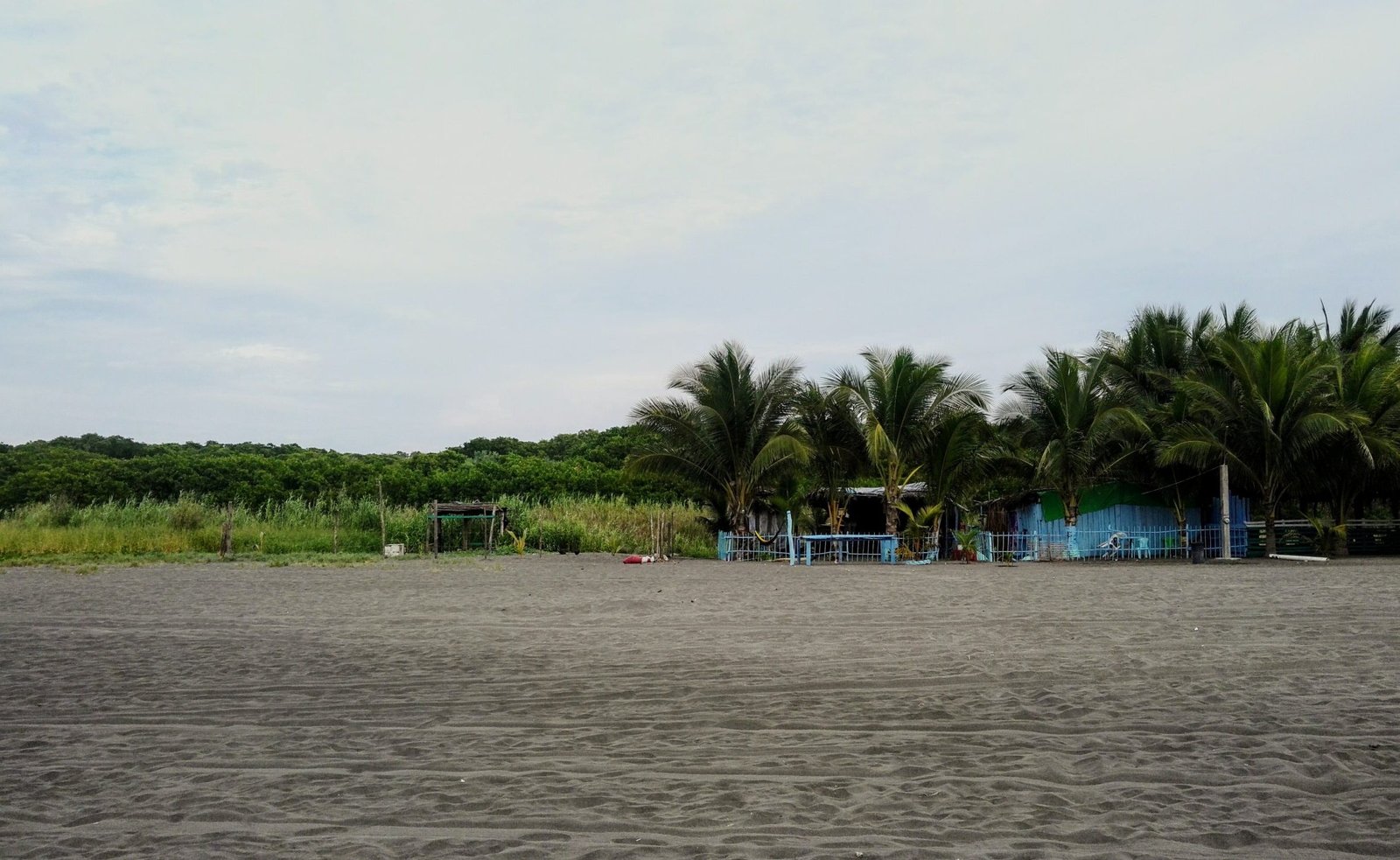 black beach with few blue wooden houses and grenns coming down