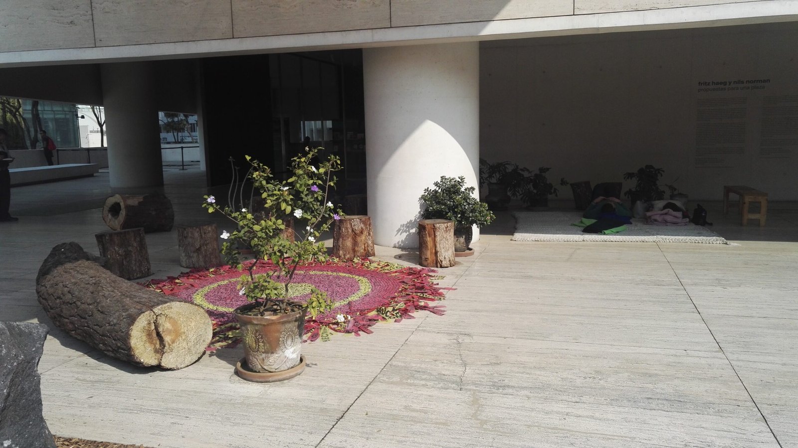 white pillars, round carpet on marble floor plants in pots, sunshine