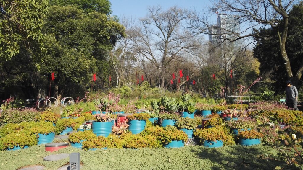 wild garden with blue recycle pots on different levels