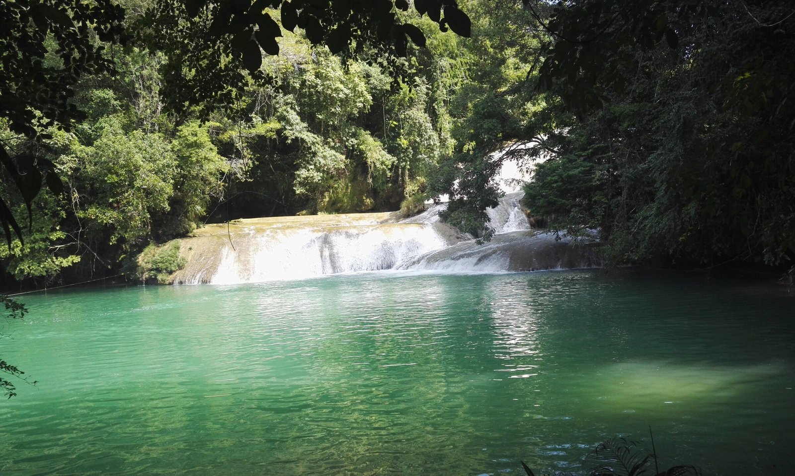waterstep in clear blue river shining greenish think forest on both banks