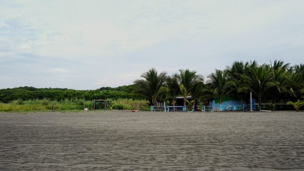 black beach with few blue wooden houses and greens coming down
