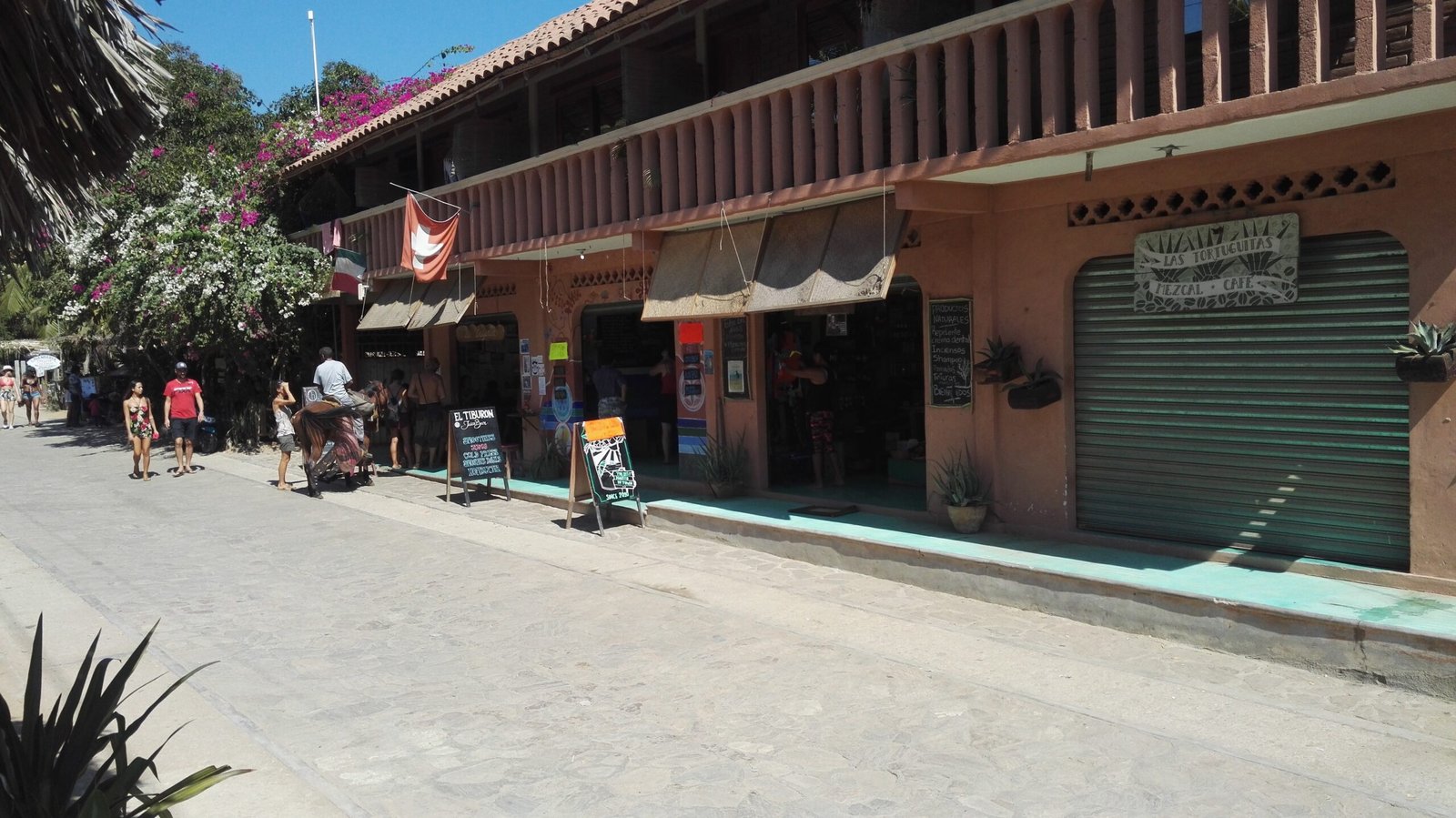 quiet cobblestone street with small shops and plants,